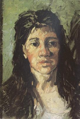 Vincent Van Gogh Head of a Woman with her Hair Loose (nn04) Sweden oil painting art